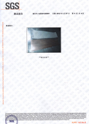 小黄片观看检查报告SGS（中）