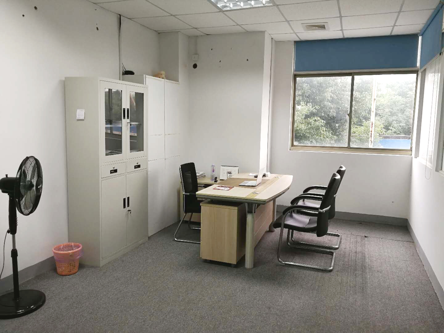 小黄片观看仪器重庆办事处正式成立